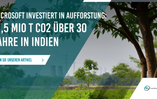 Microsoft investiert in indische Aufforstung: 1,5 Millionen Tonnen CO2-Entnahme über 30 Jahre