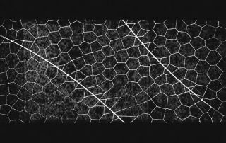 Project Glasswing - Claude Mythos